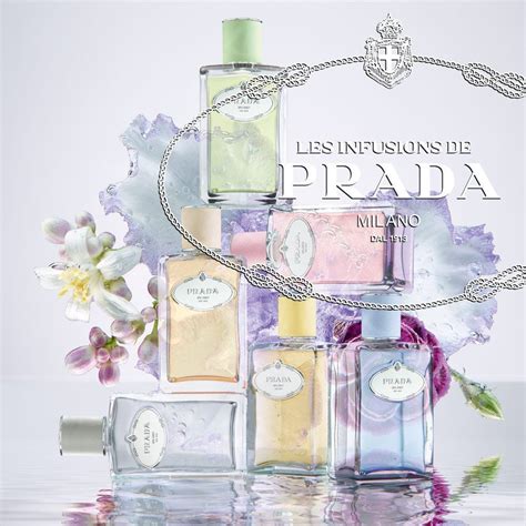 les infusions iris eau de parfum prada|prada infusion d'iris sephora.